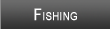 Lake Tallassee Fishing